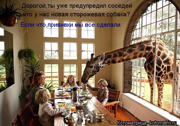 Дорогой,ты уже предупредил соседей что у нас новая сторожевая собака? Если что,прививки мы все сделал... Котоматрица: Дорогой,ты уже предупредил соседей что у нас новая сторожевая собака? Если что,прививки мы все сделали