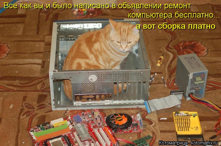 Все как вы и было написано в обьявлении ремонт компьютера бесплатно... а вот сборка платно... Котоматрица: Все как вы и было написано в обьявлении ремонт компьютера бесплатно... а вот сборка платно