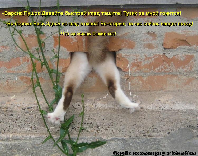 Котоматрица: -Барсик!Пушок!Давайте быстрей клад тащите! Тузик за мной гонится! -Во-первых Вась,Здесь не клад а навоз! Во-вторых, на нас сейчас наедет поезд!