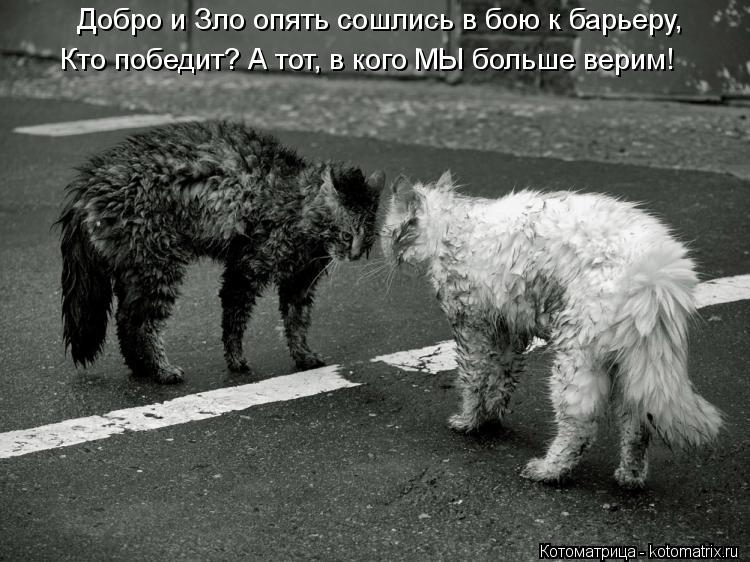 Добро и Зло опять сошлись в бою к барьеру, Кто победит? А тот, в кого МЫ больше верим!... Котоматрица: Добро и Зло опять сошлись в бою к барьеру, Кто победит? А тот, в кого МЫ больше верим!