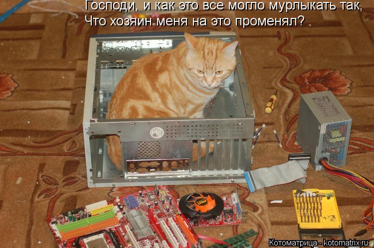 Господи, и как это все могло мурлыкать так, Что хозяин меня на это променял?... Котоматрица: Господи, и как это все могло мурлыкать так, Что хозяин меня на это променял?