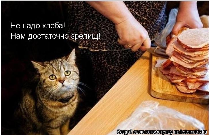 Котоматрица: Не надо хлеба! Нам достаточно зрелищ!