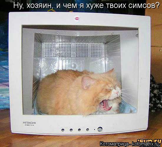 Ну, хозяин, и чем я хуже твоих симсов?... Котоматрица: Ну, хозяин, и чем я хуже твоих симсов?