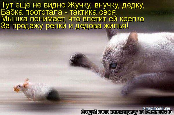 Мышка понимает, что влетит ей крепко За продажу репки и дедова жилья! Бабка поотстала - тактика своя.... Котоматрица: Мышка понимает, что влетит ей крепко За продажу репки и дедова жилья! Бабка поотстала - тактика своя. Тут еще не видно Жучку, внучку, дедку,