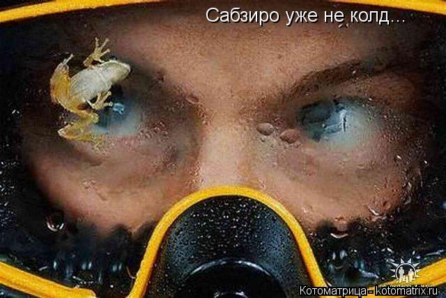 Сабзиро уже не колд...... Котоматрица: Сабзиро уже не колд...