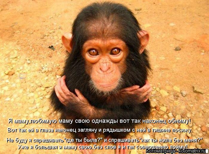 Я маму,любимую маму свою однажды вот так наконец обниму! Вот так ей в глаза наконец загляну и рядышко... Котоматрица: Я маму,любимую маму свою однажды вот так наконец обниму! Вот так ей в глаза наконец загляну и рядышком с ней в тишине посижу. Не буду я спраши