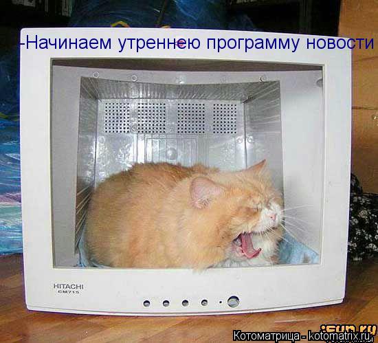-Начинаем утреннею программу новости... Котоматрица: -Начинаем утреннею программу новости