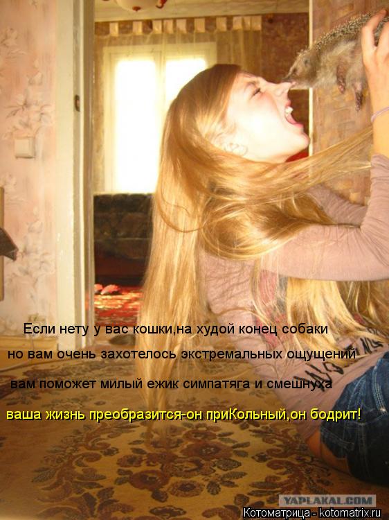 Если нету у вас кошки,на худой конец собаки но вам очень захотелось экстремальных ощущений вам поможе... Котоматрица: Если нету у вас кошки,на худой конец собаки но вам очень захотелось экстремальных ощущений вам поможет милый ежик симпатяга и смешнуха ваш