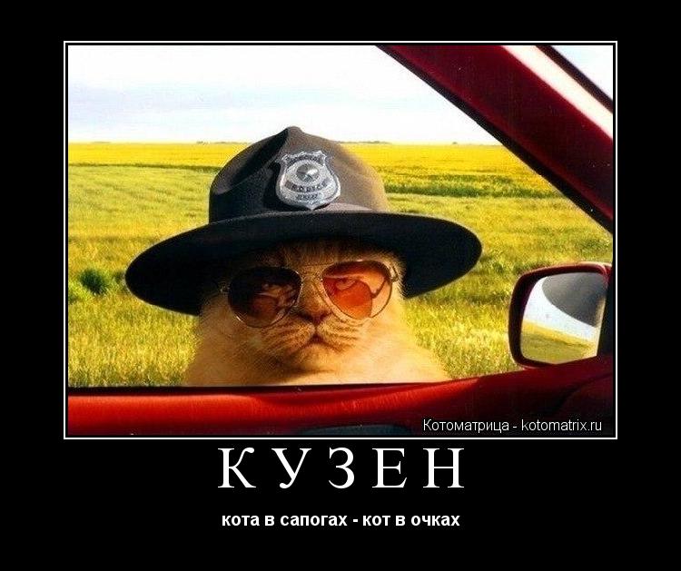 Кузен кота в сапогах - кот в очках... Котоматрица: Кузен кота в сапогах - кот в очках