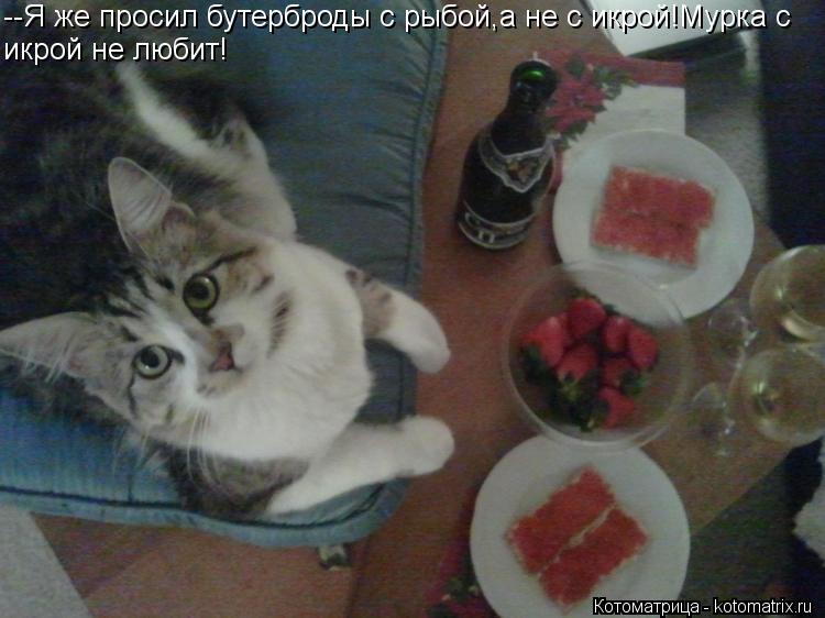 --Я же просил бутерброды с рыбой,а не с икрой!Мурка с икрой не любит!... Котоматрица: --Я же просил бутерброды с рыбой,а не с икрой!Мурка с икрой не любит!