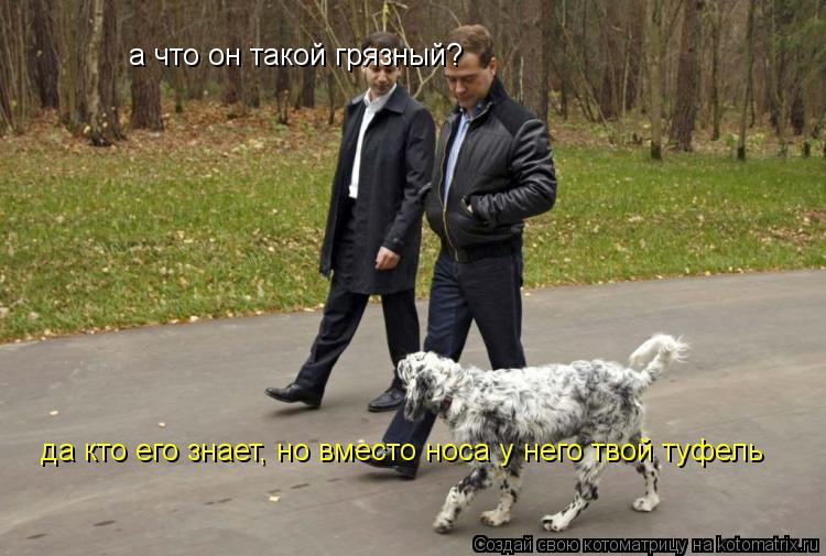 а что он такой грязный? да кто его знает, но вместо носа у него твой туфель... Котоматрица: а что он такой грязный? да кто его знает, но вместо носа у него твой туфель