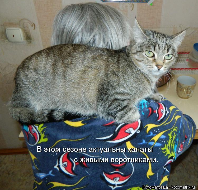 В этом сезоне актуальны халаты с живыми воротниками.... Котоматрица: В этом сезоне актуальны халаты с живыми воротниками.