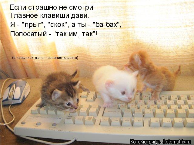 Если страшно не смотри Главное клавиши дави. Полосатый - "так им, так"! Я - "прыг", "скок", а ты - "б... Котоматрица: Если страшно не смотри Главное клавиши дави. Полосатый - "так им, так"! Я - "прыг", "скок", а ты - "ба-бах", (в кавычках даны названия клавиш)