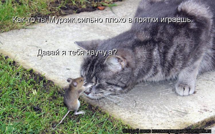 Как-то ты,Мурзик,сильно плохо в прятки играешь. Давай я тебя научу,а?... Котоматрица: Как-то ты,Мурзик,сильно плохо в прятки играешь. Давай я тебя научу,а?