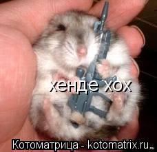 хенде хох... Котоматрица: хенде хох