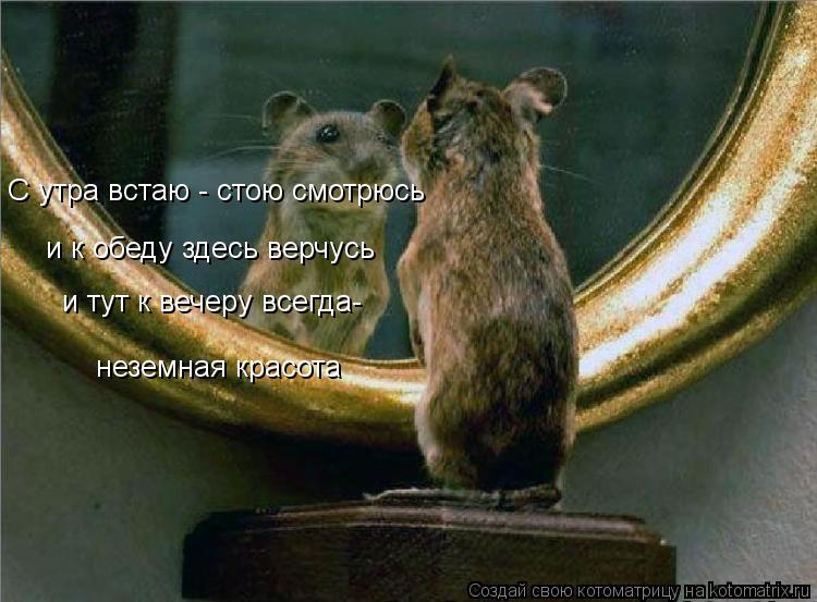 С утра встаю - стою смотрюсь и к обеду здесь верчусь и тут к вечеру всегда- неземная красота... Котоматрица: С утра встаю - стою смотрюсь и к обеду здесь верчусь и тут к вечеру всегда- неземная красота