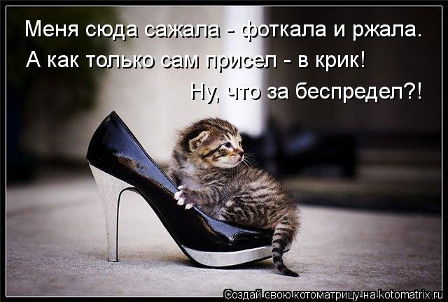 Меня сюда сажала - фоткала и ржала. А как только сам присел - в крик! Ну, что за беспредел?!... Котоматрица: Меня сюда сажала - фоткала и ржала. А как только сам присел - в крик! Ну, что за беспредел?!