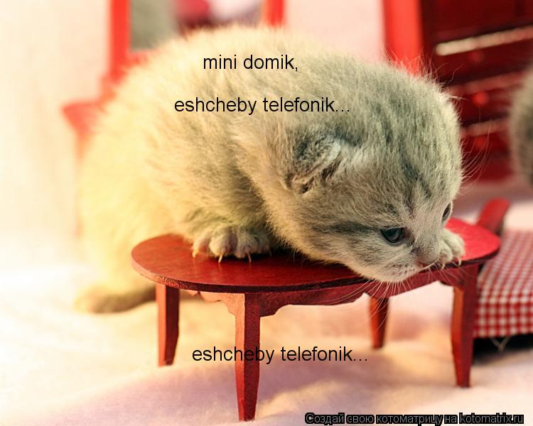 mini domik, mini domik, mini domik, eshcheby telefonik... eshcheby telefonik...... Котоматрица: mini domik, mini domik, mini domik, eshcheby telefonik... eshcheby telefonik...