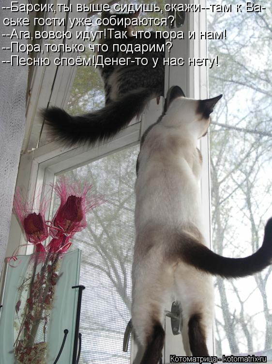 --Барсик,ты выше сидишь,скажи--там к Ва- ське гости уже собираются? --Ага,вовсю идут!Так что пора и н... Котоматрица: --Барсик,ты выше сидишь,скажи--там к Ва- ське гости уже собираются? --Ага,вовсю идут!Так что пора и нам! --Пора,только что подарим? --Песню споём!Д