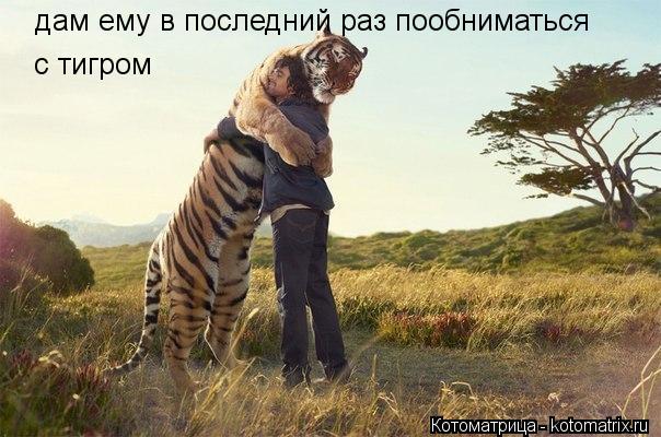 дам ему в последний раз пообниматься с тигром... Котоматрица: дам ему в последний раз пообниматься с тигром