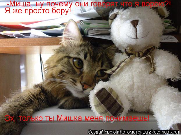 Котоматрица: -Миша, ну почему они говорят что я ворою?! Я же просто беру! Эх, только ты Мишка меня понимаешь!