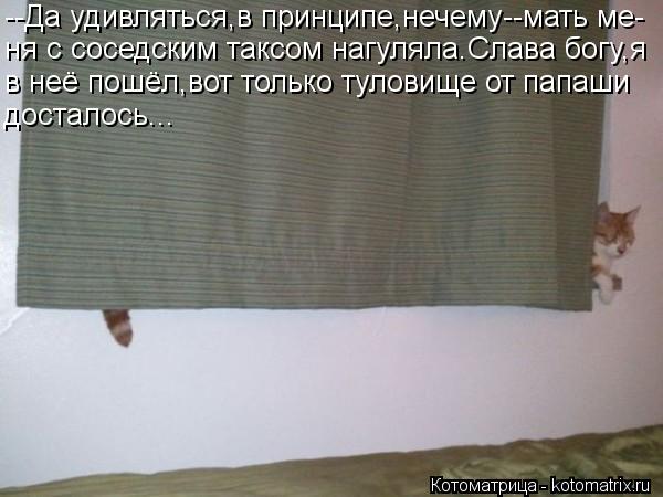 --Да удивляться,в принципе,нечему--мать ме- ня с соседским таксом нагуляла.Слава богу,я в неё пошёл,в... Котоматрица: --Да удивляться,в принципе,нечему--мать ме- ня с соседским таксом нагуляла.Слава богу,я в неё пошёл,вот только туловище от папаши досталось...