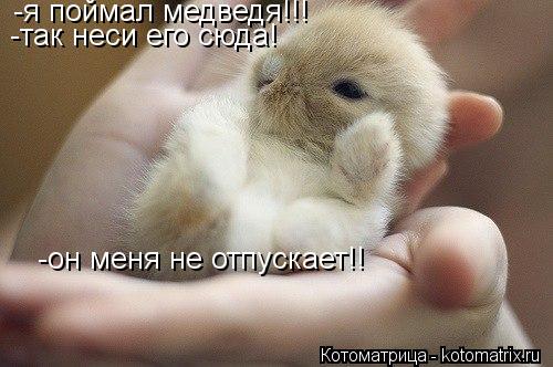 -я поймал медведя!!! -так неси его сюда! -он меня не отпускает!!... Котоматрица: -я поймал медведя!!! -так неси его сюда! -он меня не отпускает!!