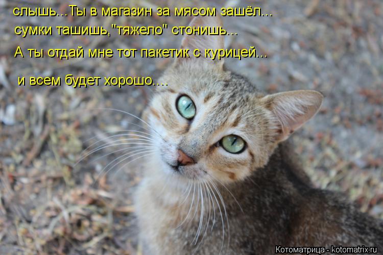 слышь...Ты в магазин за мясом зашёл... сумки ташишь,"тяжело" стонишь... А ты отдай мне тот пакетик с ... Котоматрица: слышь...Ты в магазин за мясом зашёл... сумки ташишь,"тяжело" стонишь... А ты отдай мне тот пакетик с курицей... и всем будет хорошо....