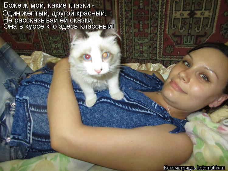 Боже ж мой, какие глазки - Один желтый, другой красный. Не рассказывай ей сказки, Она в курсе кто зде... Котоматрица: Боже ж мой, какие глазки - Один желтый, другой красный. Не рассказывай ей сказки, Она в курсе кто здесь классный!