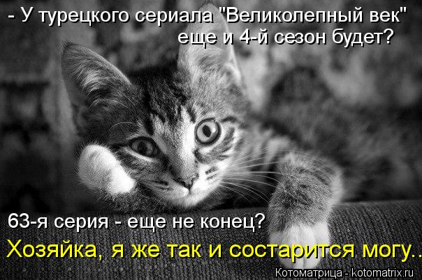Котоматрица: - У турецкого сериала "Великолепный век" еще и 4-й сезон будет? 63-я серия - еще не конец? Хозяйка, я же так и состарится могу...