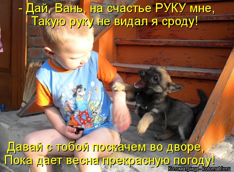 - Дай, Вань, на счастье РУКУ мне, Такую руку не видал я сроду! Давай с тобой поскачем во дворе, Пока... Котоматрица: - Дай, Вань, на счастье РУКУ мне, Такую руку не видал я сроду! Давай с тобой поскачем во дворе, Пока дает весна прекрасную погоду!