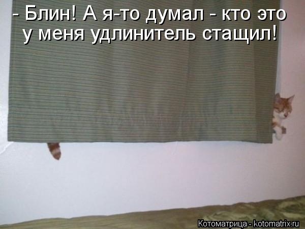 - Блин! А я-то думал - кто это у меня удлинитель стащил!... Котоматрица: - Блин! А я-то думал - кто это у меня удлинитель стащил!