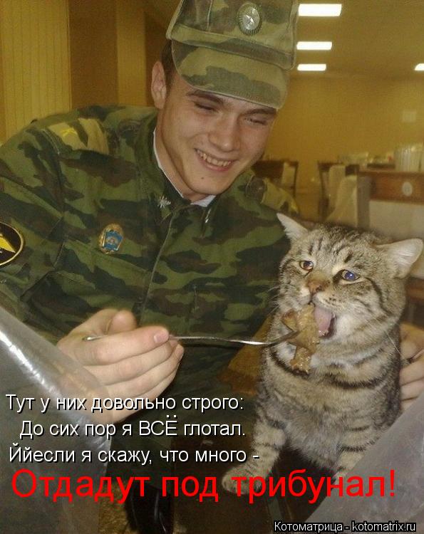 Отдадут под трибунал! Тут у них довольно строго: До сих пор я ВСЕ глотал. Ййесли я скажу, что много -... Котоматрица: Отдадут под трибунал! Тут у них довольно строго: До сих пор я ВСЕ глотал. Ййесли я скажу, что много - ..