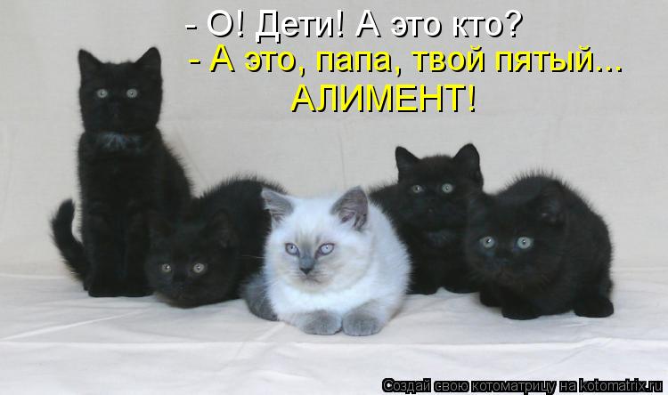 - О! Дети! А это кто? - А это, папа, твой пятый... АЛИМЕНТ!... Котоматрица: - О! Дети! А это кто? - А это, папа, твой пятый... АЛИМЕНТ!