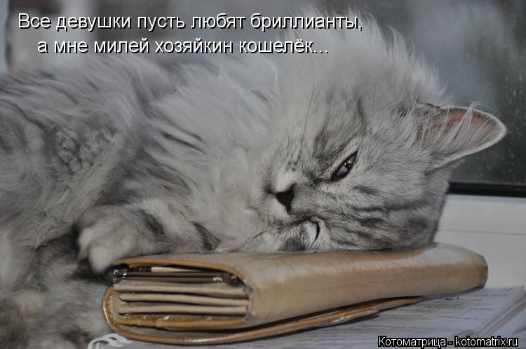 Все девушки пусть любят бриллианты, а мне милей хозяйкин кошелёк...... Котоматрица: Все девушки пусть любят бриллианты, а мне милей хозяйкин кошелёк...
