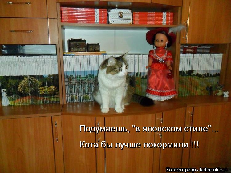 Подумаешь, "в японском стиле"... Кота бы лучше покормили !!!... Котоматрица: Подумаешь, "в японском стиле"... Кота бы лучше покормили !!!