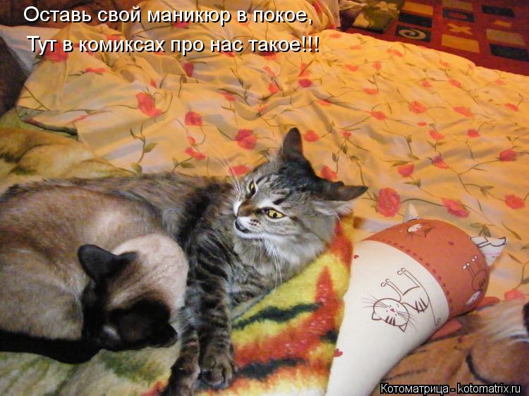 Оставь свой маникюр в покое, Тут в комиксах про нас такое!!!... Котоматрица: Оставь свой маникюр в покое, Тут в комиксах про нас такое!!!