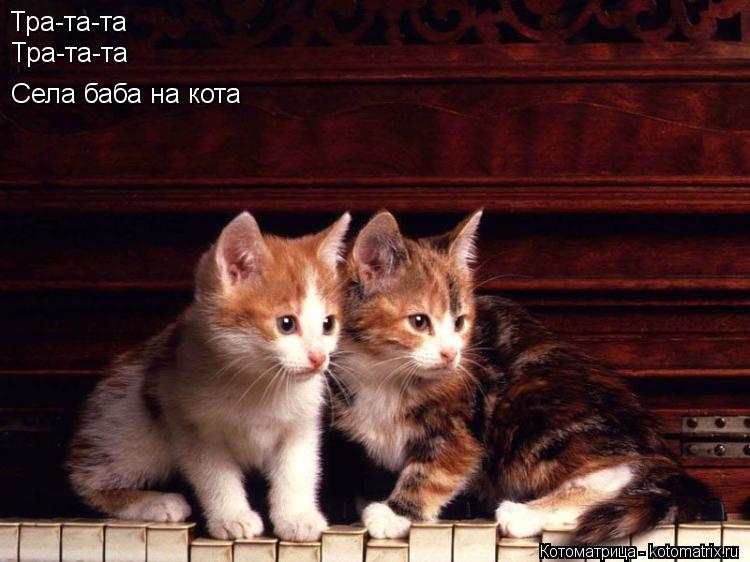 Тра-та-та Тра-та-та Села баба на кота... Котоматрица: Тра-та-та Тра-та-та Села баба на кота