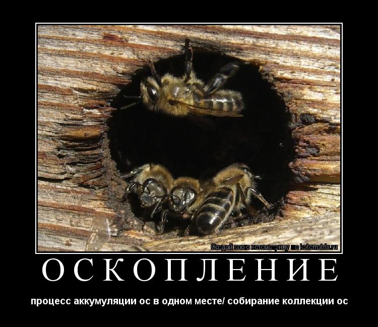 ОсКопление процесс аккумуляции ос в одном месте/ собирание коллекции ос... Котоматрица: ОсКопление процесс аккумуляции ос в одном месте/ собирание коллекции ос