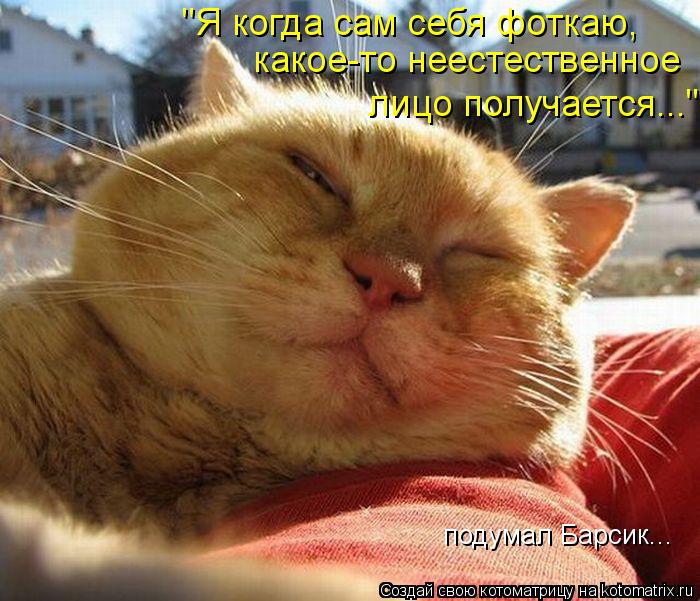 "Я когда сам себя фоткаю, какое-то неестественное лицо получается..." подумал Барсик...... Котоматрица: "Я когда сам себя фоткаю, какое-то неестественное лицо получается..." подумал Барсик...