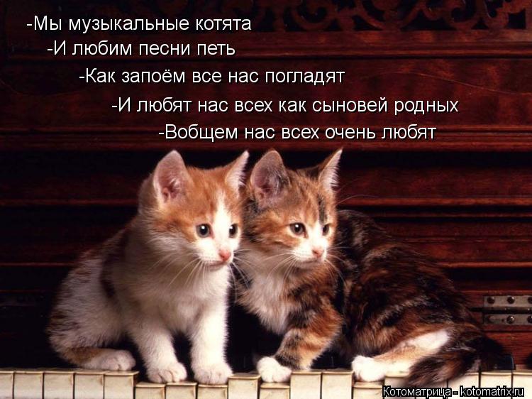 -Мы музыкальные котята -И любим песни петь -Как запоём все нас погладят -И любят нас всех как сыновей... Котоматрица: -Мы музыкальные котята -И любим песни петь -Как запоём все нас погладят -И любят нас всех как сыновей родных -Вобщем нас всех очень любят