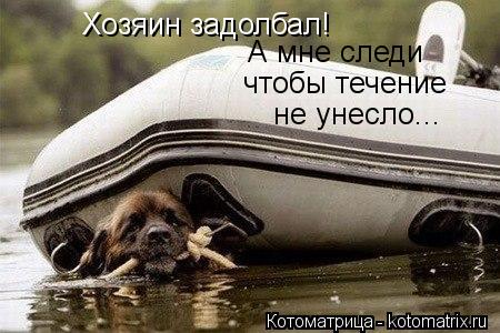 Хозяин задолбал! Сам в лодке спит, а мне охраняй что бы течение не унесло... А мне следи чтобы течени... Котоматрица: Хозяин задолбал! Сам в лодке спит, а мне охраняй что бы течение не унесло... А мне следи чтобы течение не унесло...
