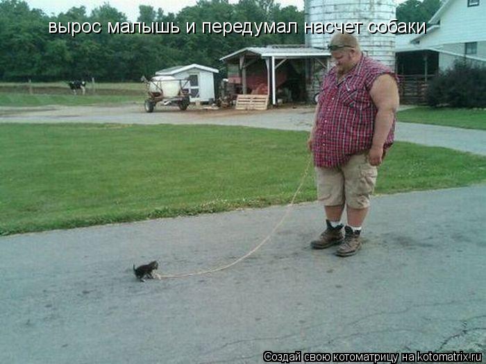 вырос малышь и передумал насчет собаки... Котоматрица: вырос малышь и передумал насчет собаки