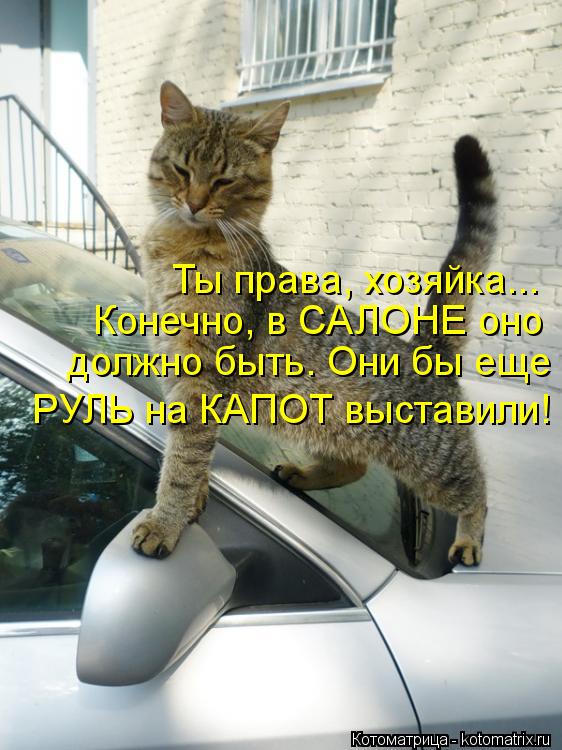 Ты права, хозяйка... должно быть. Они бы еще РУЛЬ на КАПОТ выставили! Конечно, в САЛОНЕ оно... Котоматрица: Ты права, хозяйка... должно быть. Они бы еще РУЛЬ на КАПОТ выставили! Конечно, в САЛОНЕ оно