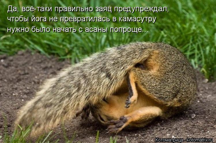 Да, всё-таки правильно заяц предупреждал, чтобы йога не превратилась в камасутру нужно было начать с... Котоматрица: Да, всё-таки правильно заяц предупреждал, чтобы йога не превратилась в камасутру нужно было начать с асаны попроще...