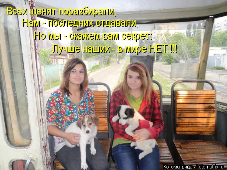 Всех щенят поразбирали, Нам - последних отдавали, Но мы - скажем вам секрет: Лучше наших - в мире НЕТ... Котоматрица: Всех щенят поразбирали, Нам - последних отдавали, Но мы - скажем вам секрет: Лучше наших - в мире НЕТ !!!