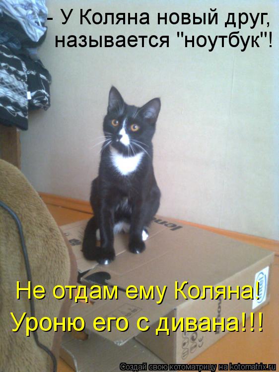 Котоматрица: называется "ноутбук"! Не отдам ему Коляна! Уроню его с дивана!!! - У Коляна новый друг,