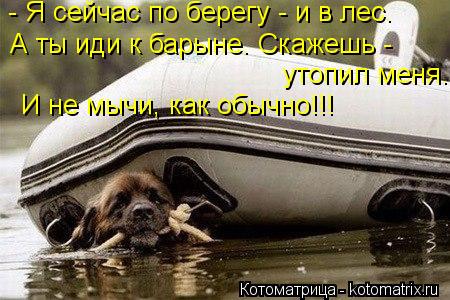 - Я сейчас по берегу - и в лес. А ты иди к барыне. Скажешь - утопил меня. И не мычи, как обычно!!!... Котоматрица: - Я сейчас по берегу - и в лес. А ты иди к барыне. Скажешь - утопил меня. И не мычи, как обычно!!!