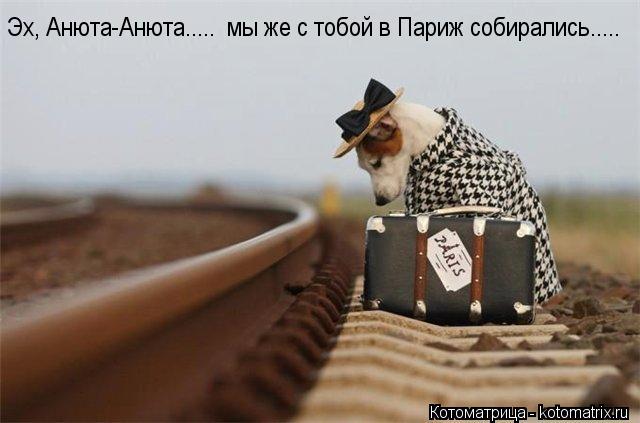 Эх, Анюта-Анюта..... мы же с тобой в Париж собирались........ Котоматрица: Эх, Анюта-Анюта..... мы же с тобой в Париж собирались.....