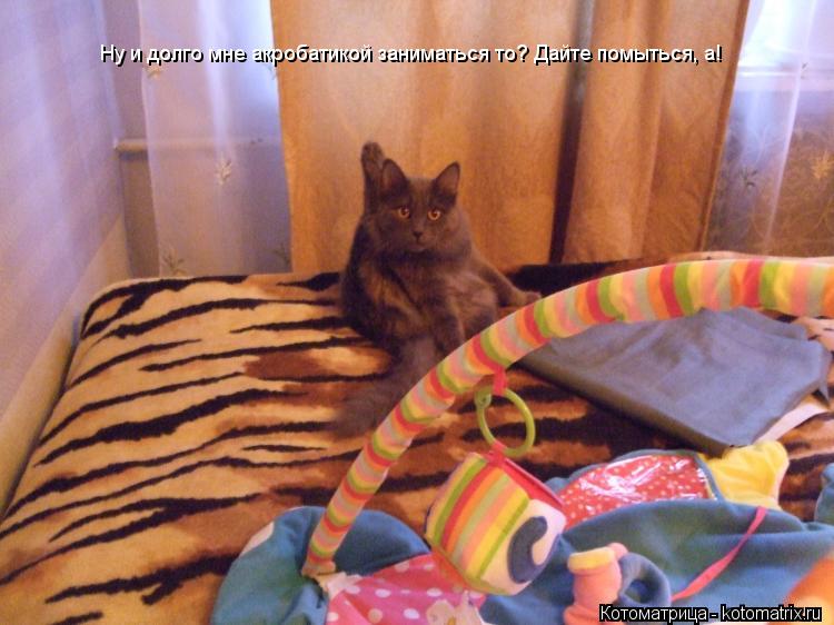 Ну и долго мне акробатикой заниматься то? Дайте помыться, а!... Котоматрица: Ну и долго мне акробатикой заниматься то? Дайте помыться, а!